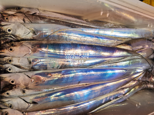 1756586957557.jpg
