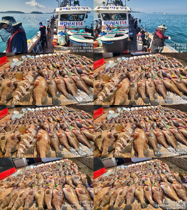 2db7921ef7b0dc49dc5e848a51ad02f6.jpg