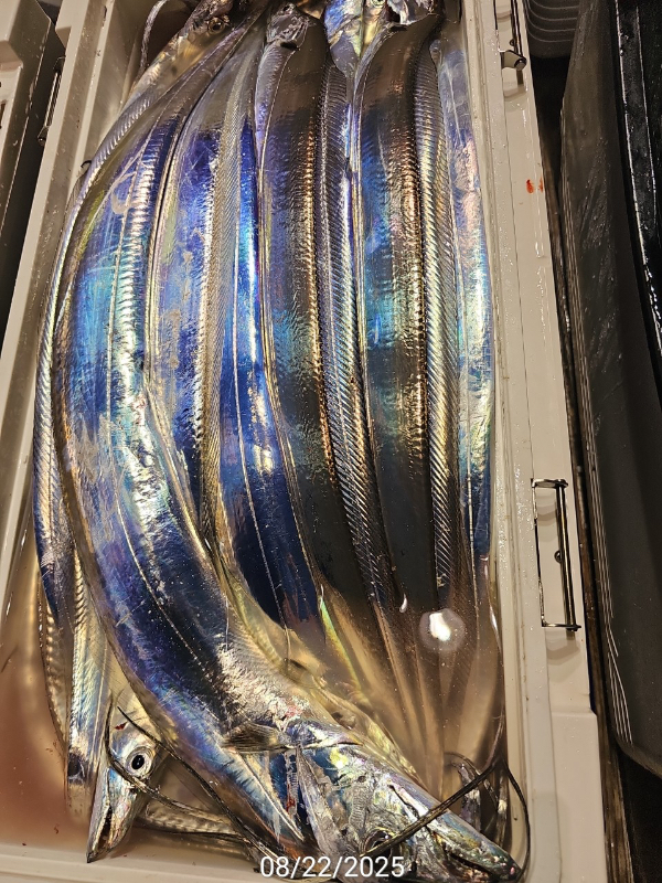 E989990C-B8D4-4916-AA08-2A977354E065.jpeg