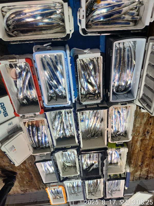 1000037124.jpg