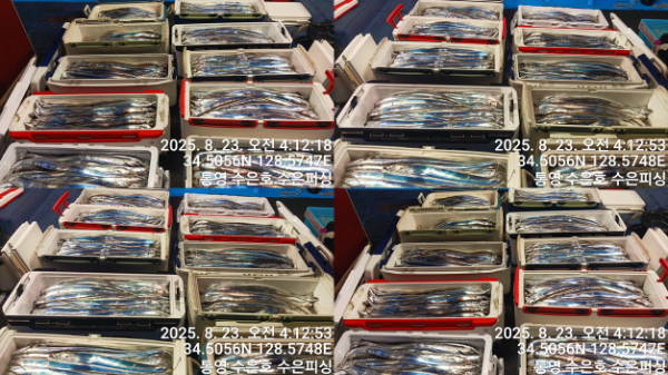 1755892093292-tile.jpg