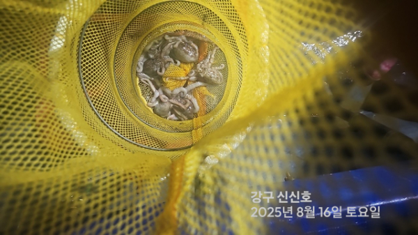 신신낚시 강구점 신신호_사진_20250816_14.jpg