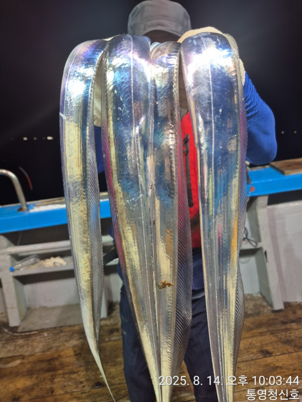 바다의 전설 부평25_사진_20250815_6.jpg