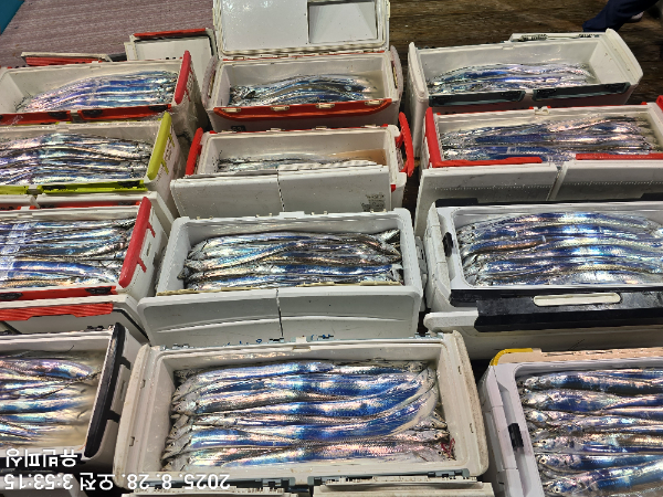KakaoTalk_20250828_040405840.jpg