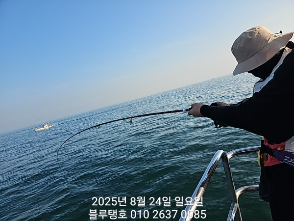 20250824_075414.jpg