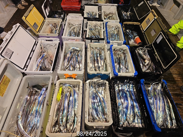 EC988745-0414-4B3E-B401-68BA2B852D01.jpeg