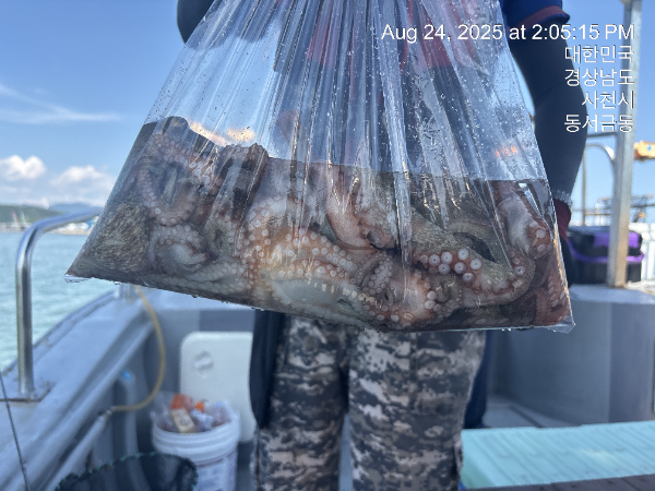KakaoTalk_20250825_100201975.jpg