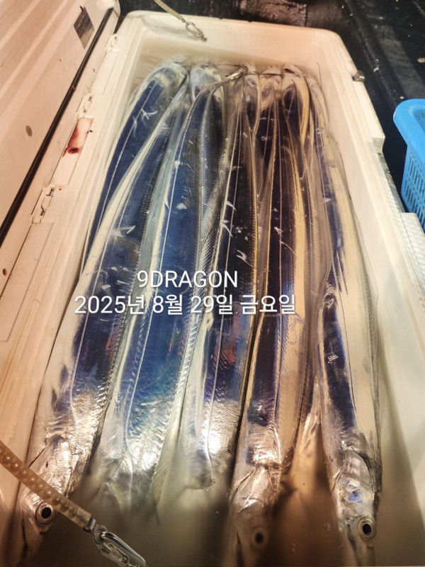 174EDB2D-0DB1-49D6-832B-CA13A64015EC.jpeg