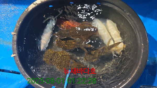 3141480462b85603ddca6314cdfaca53.jpg