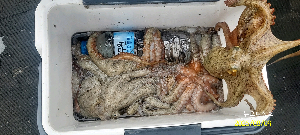 DateCamera0809074254.jpg
