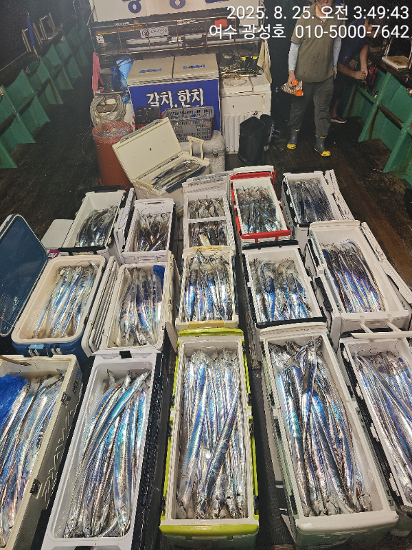 KakaoTalk_20250826_093026056_17.jpg