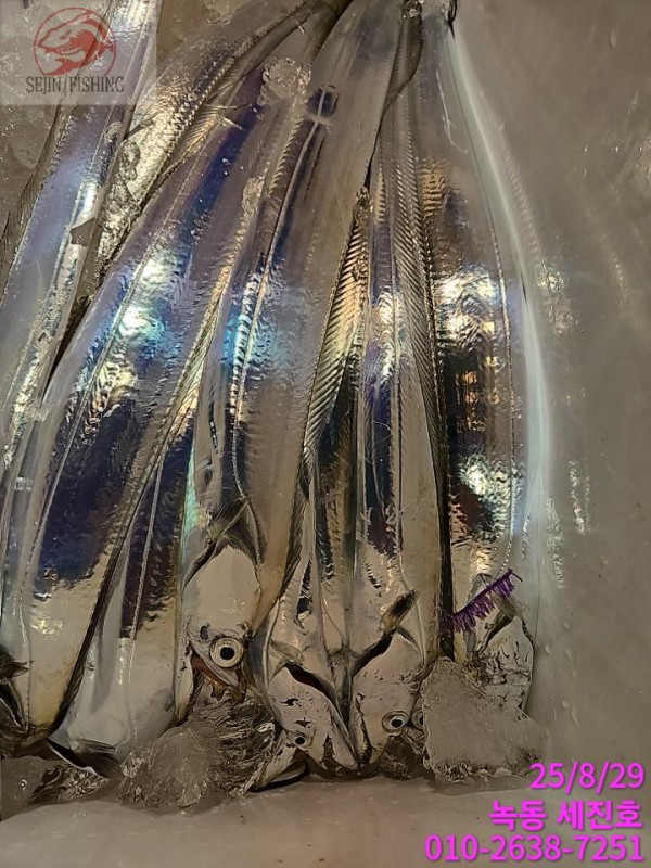 KakaoTalk_20250829_071543903_03.jpg