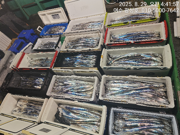 KakaoTalk_20250829_181212955_07.jpg