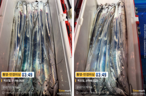 이미지.jpeg