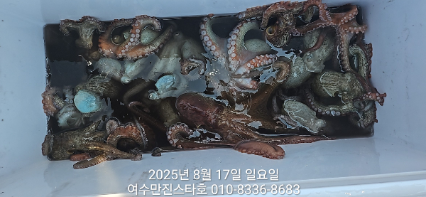 32c8aa34920f554cb053b89ecbd304e3.jpg