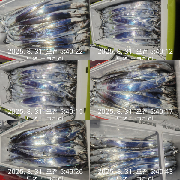 1000070994.jpg