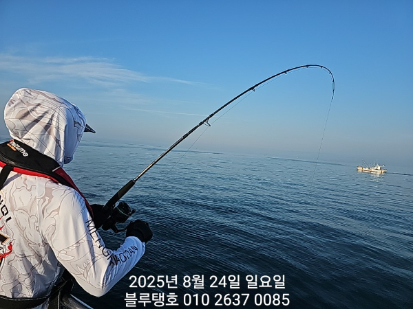 20250824_071758.jpg