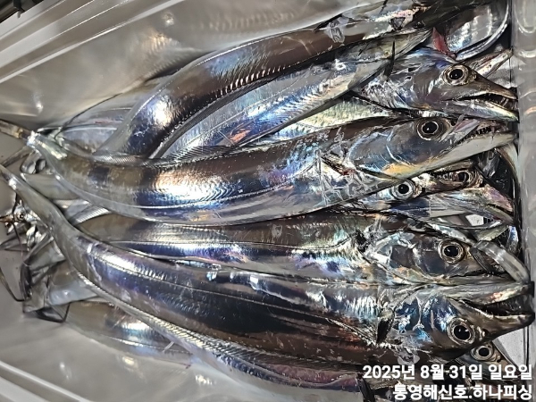 1756580664608.jpg