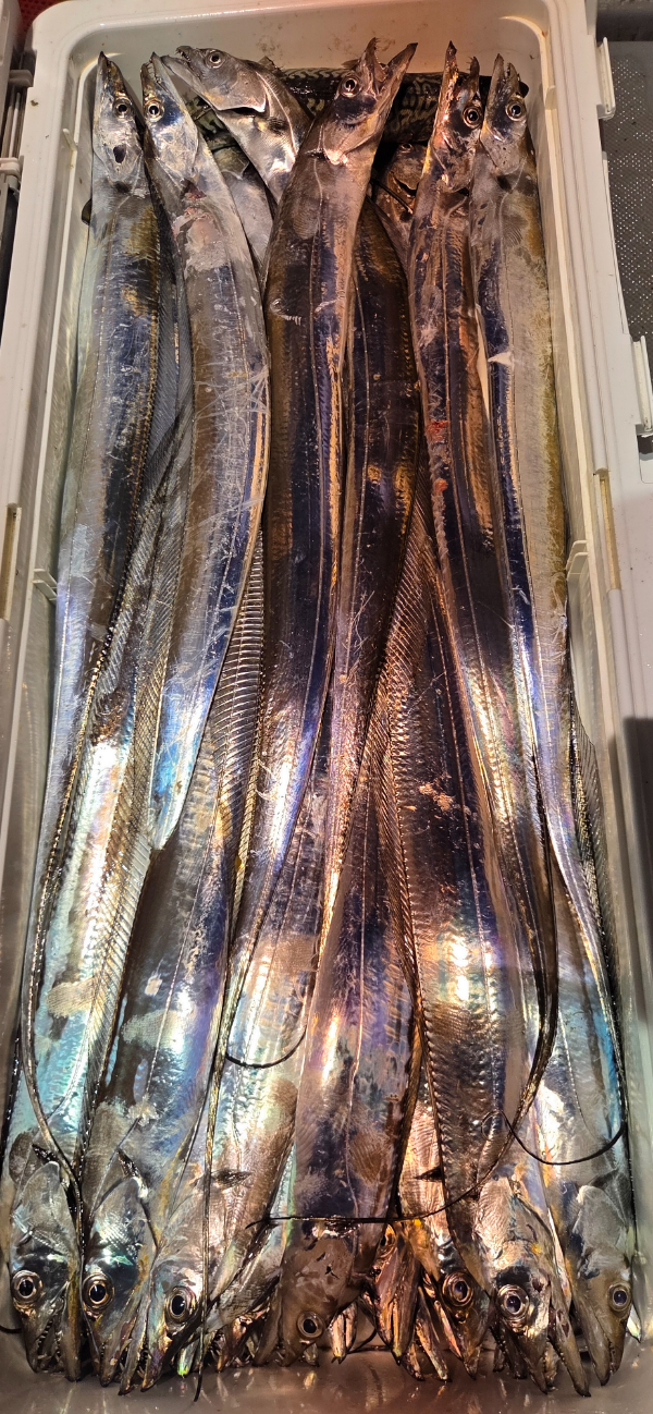 1000066796.jpg