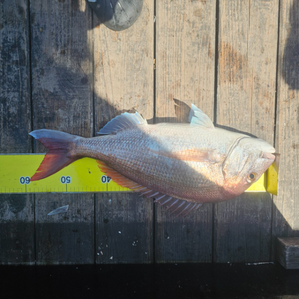 마검포 대한호(VIP)_사진_20250824_9.jpg