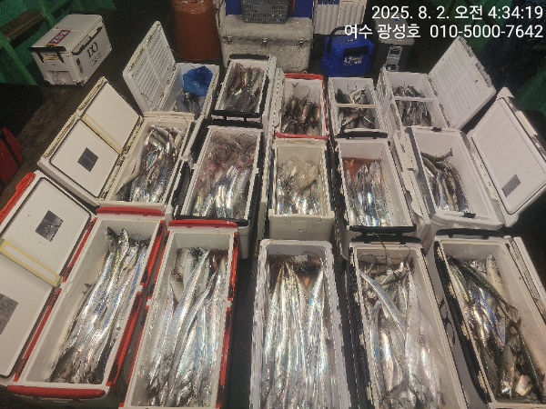 KakaoTalk_20250802_072714062_11.jpg