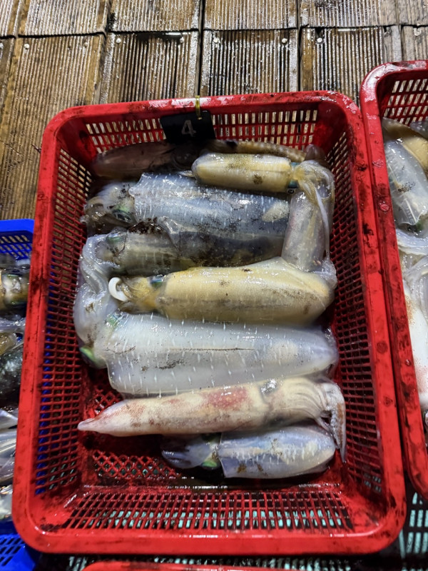 제주 쏘니호_사진_20250821_6.jpg