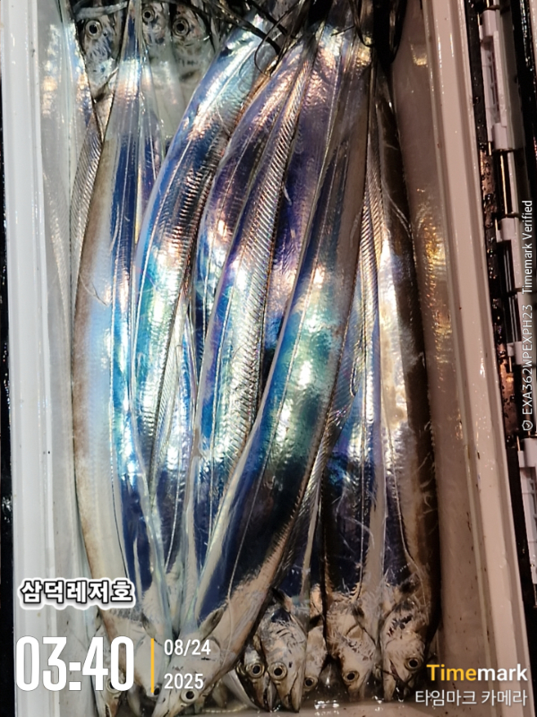 1755990821476.jpg