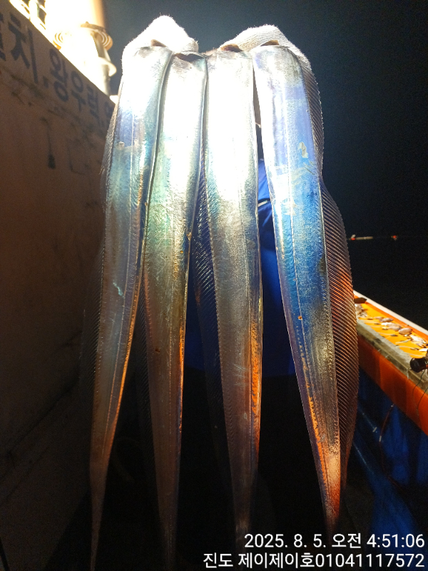 1000035172.jpg