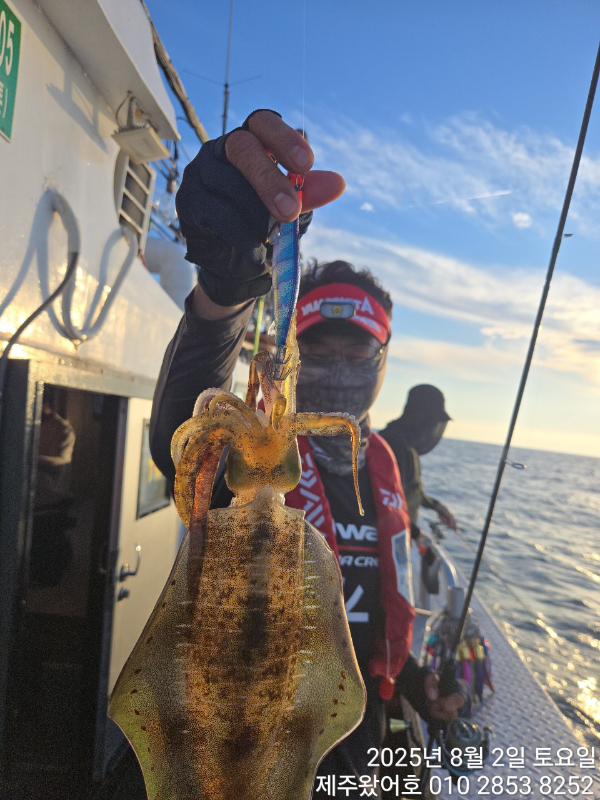 제주왔어호_사진_20250804_5.jpg