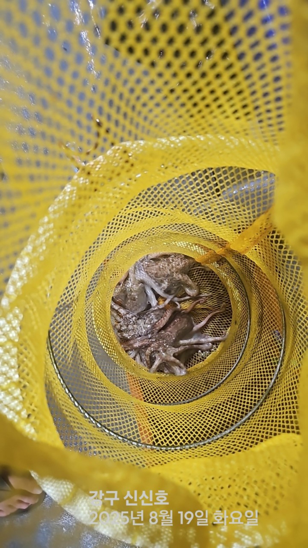 신신낚시 강구점 신신호_사진_20250819_2.jpg