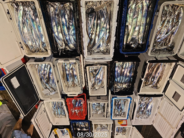 EF7AE2FF-AA9F-4DCD-9D5D-DE32FE06A63D.jpeg