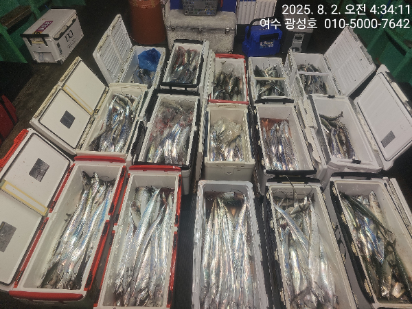 KakaoTalk_20250802_072714062_14.jpg