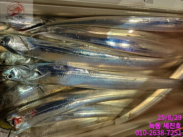 KakaoTalk_20250829_071543903_02.jpg