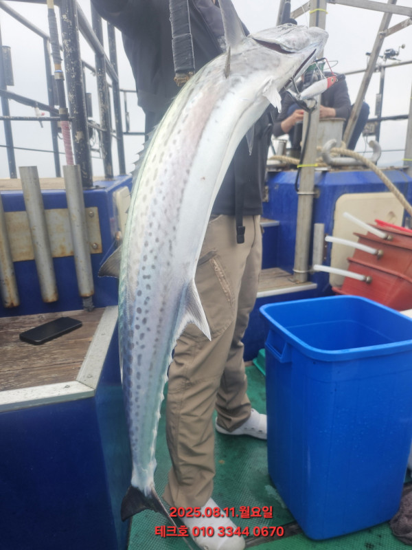 KakaoTalk_20250811_184232146_06.jpg