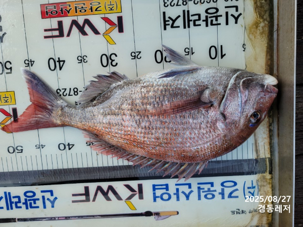 슬라이드0004.jpg