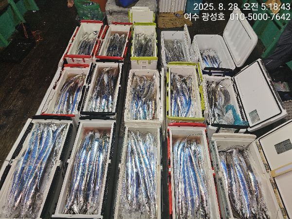 KakaoTalk_20250828_184111505_12.jpg