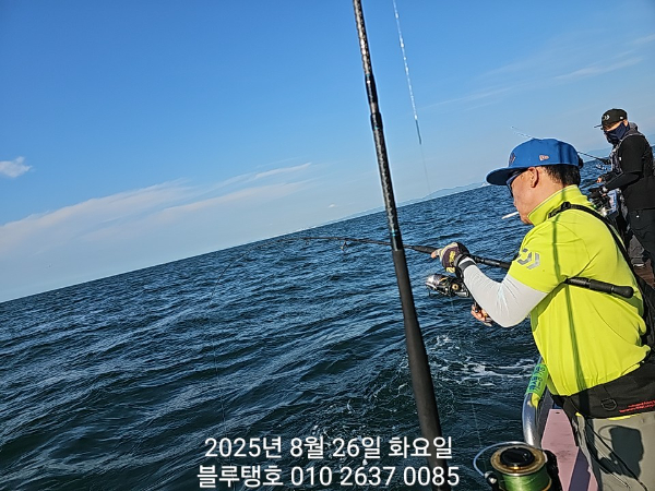 20250826_080115.jpg