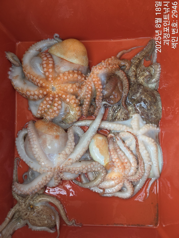 KakaoTalk_20250818_150618773_11.jpg