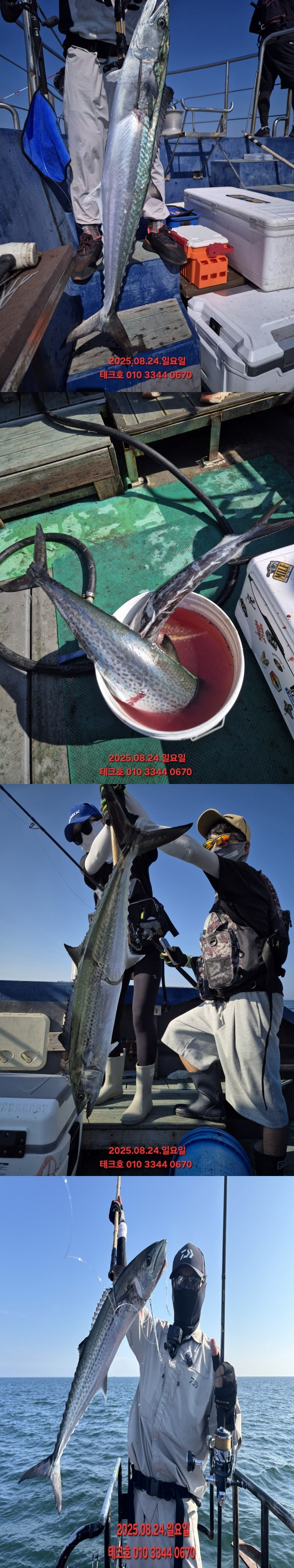 KakaoTalk_20250824_170054462_03-vert.jpg