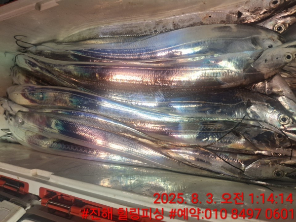 KakaoTalk_20250803_092159668_08.jpg