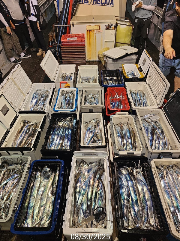 937DBD0F-5E6E-4FF8-B427-A80C0613231D.jpeg
