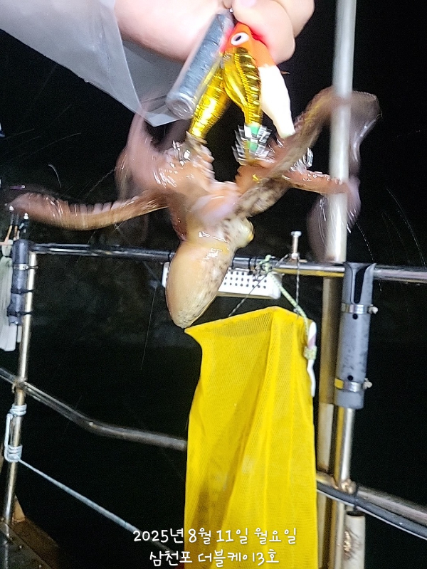 KakaoTalk_20250811_210345770.jpg