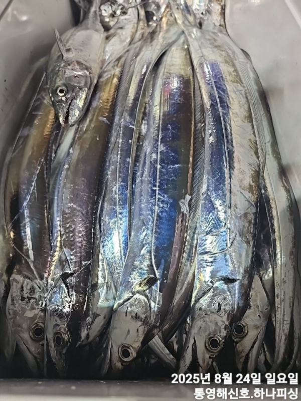 1755975237087.jpg