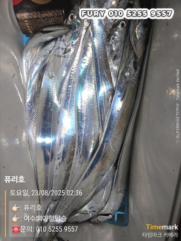 1000026452.jpg