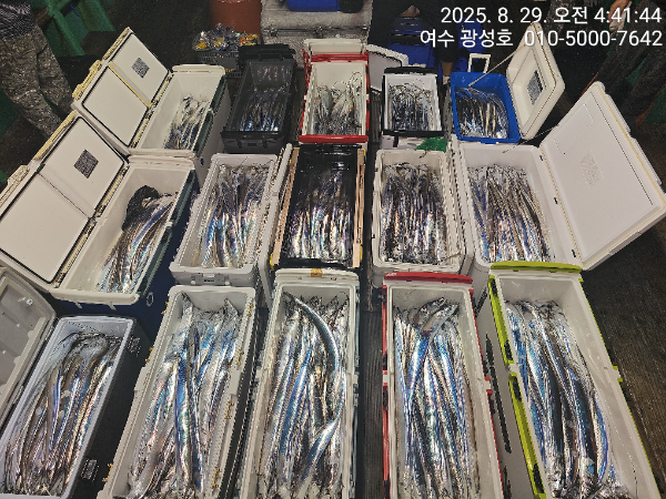KakaoTalk_20250829_181212955_16.jpg