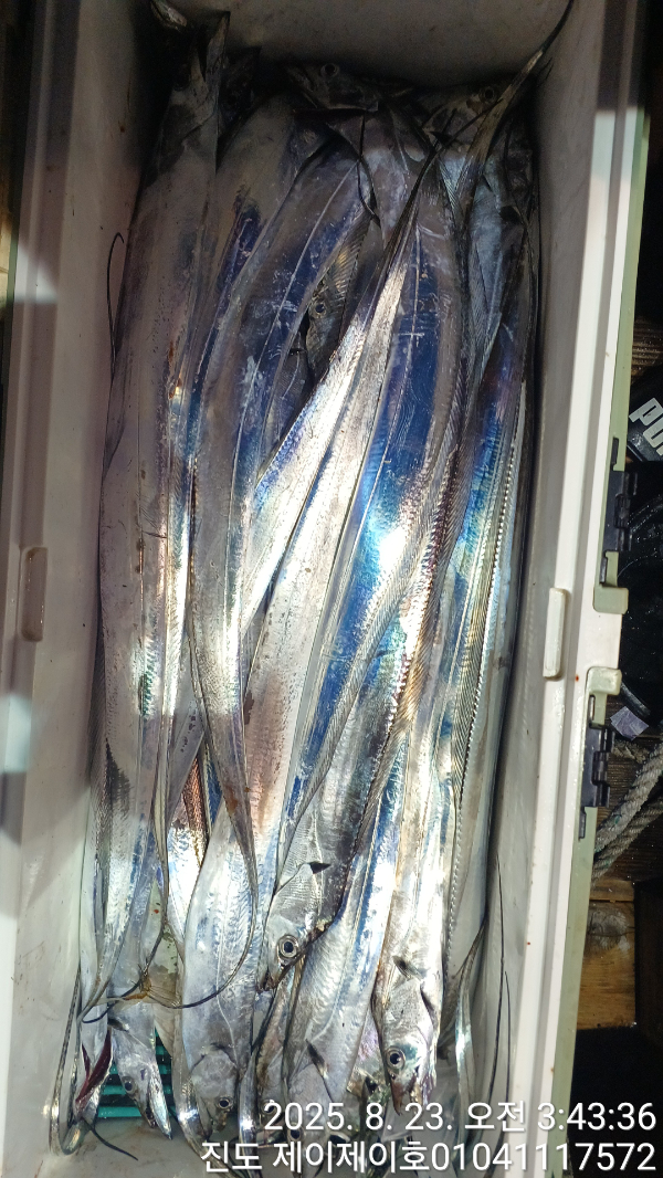 1000036105.jpg