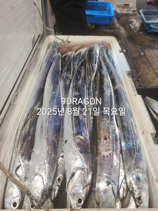 D8D2D451-FE98-4F8D-9D43-C8B054C77E07.jpeg