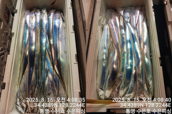 1755205279604-tile.jpg
