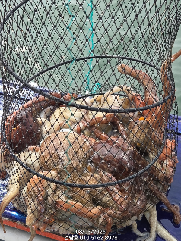 3c4367691c6b0000e76899b53948f76f.jpg
