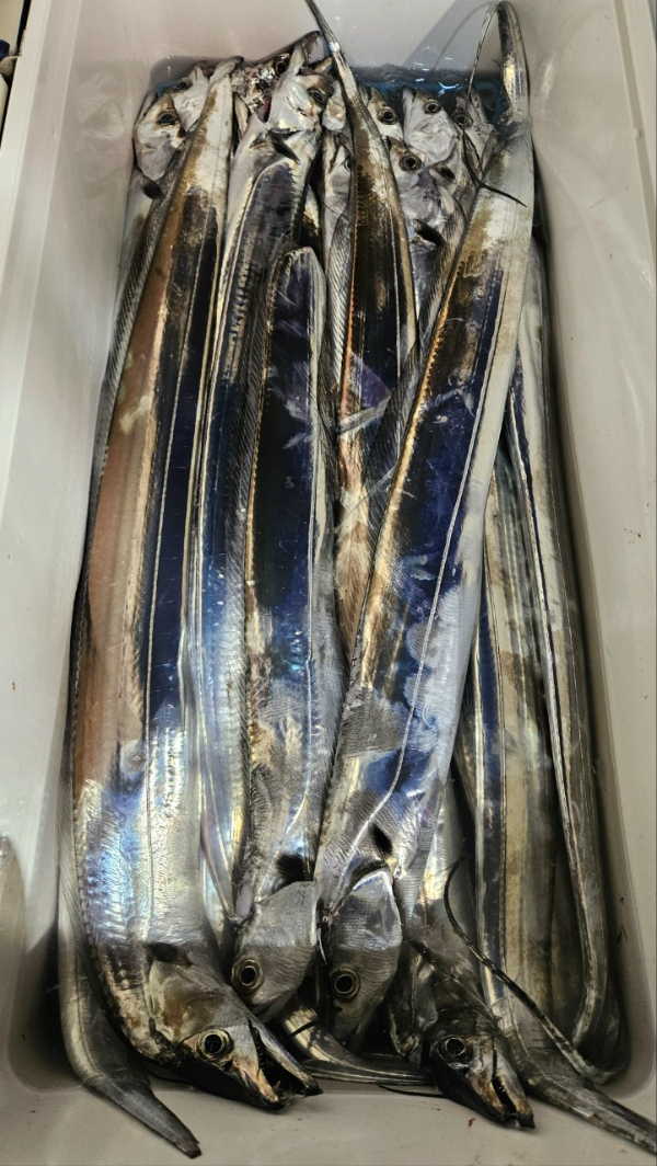 1000016070.jpg